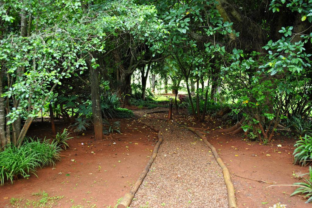 Mount Azimbo Lodge Louis Trichardt Esterno foto