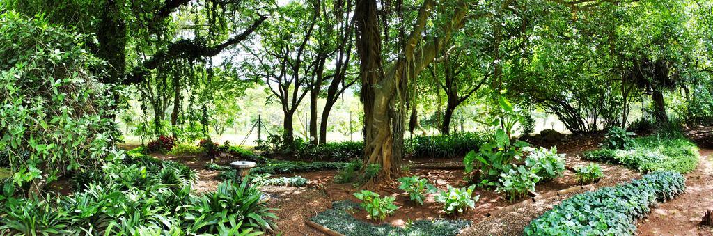 Mount Azimbo Lodge Louis Trichardt Esterno foto